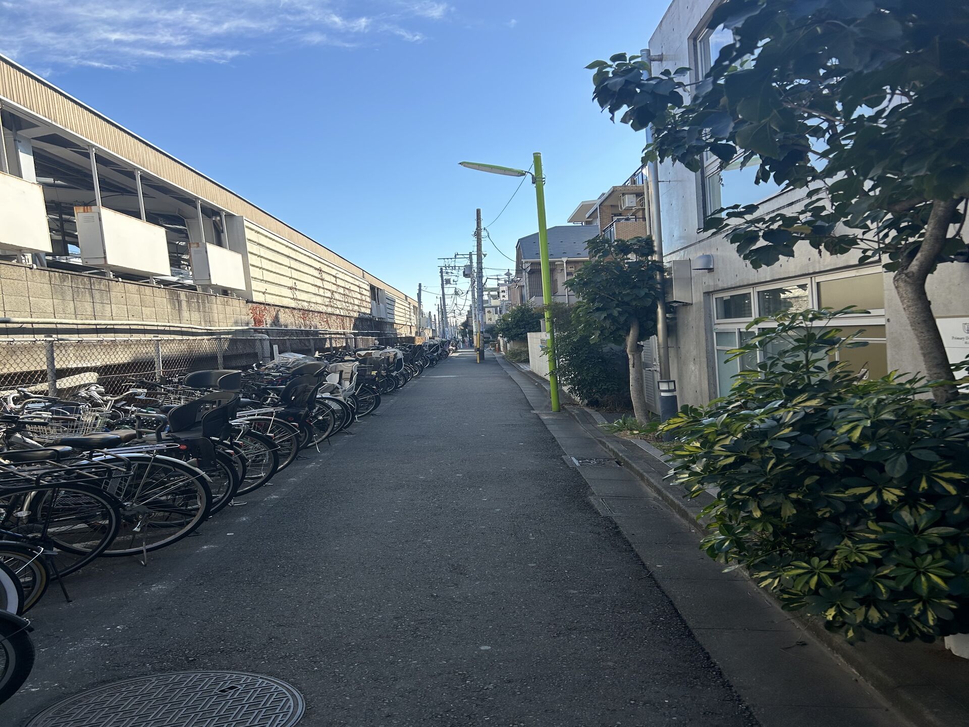 image_67202561
